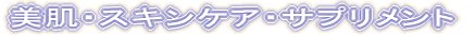 �����E�X�L���P�A�E�T�v�������g