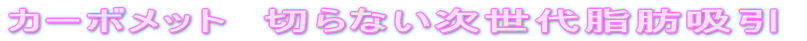 �J�[�{���b�g�@�؂�Ȃ������㎉�b�z�� 