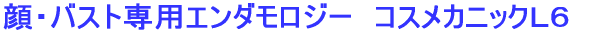 ��E�o�X�g��p�G���_�����W�[�@�R�X���J�j�b�N�k�U 