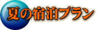 夏の宿泊プラン