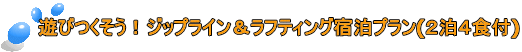 遊びつくそう!ジップライン&ラフティング宿泊プラン(2泊4食付)