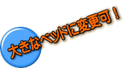 大きなベッドに変更可!