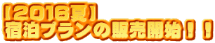 【2016夏】 宿泊プランの販売開始!!
