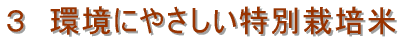 �R�@���ɂ₳�������ʍ͔|��