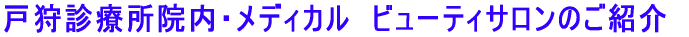 ˎfÏ@EfBJ@r[eBT̂Љ