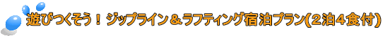 遊びつくそう!ジップライン&ラフティング宿泊プラン(2泊4食付)