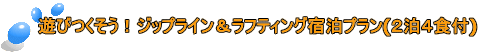 遊びつくそう!ジップライン&ラフティング宿泊プラン(2泊4食付)