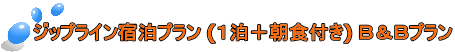ジップライン宿泊プラン (1泊+朝食付き) B&Bプラン