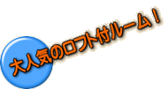 大人気のロフト付ルーム!