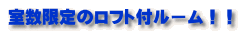 室数限定のロフト付ルーム!!