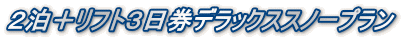 2泊+リフト3日券デラックススノープラン