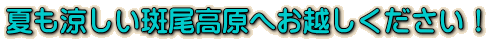 夏も涼しい斑尾高原へお越しください!