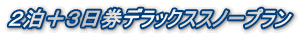 2泊+3日券デラックススノープラン