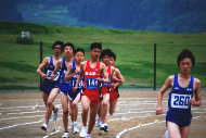 陸上競技協会の写真3